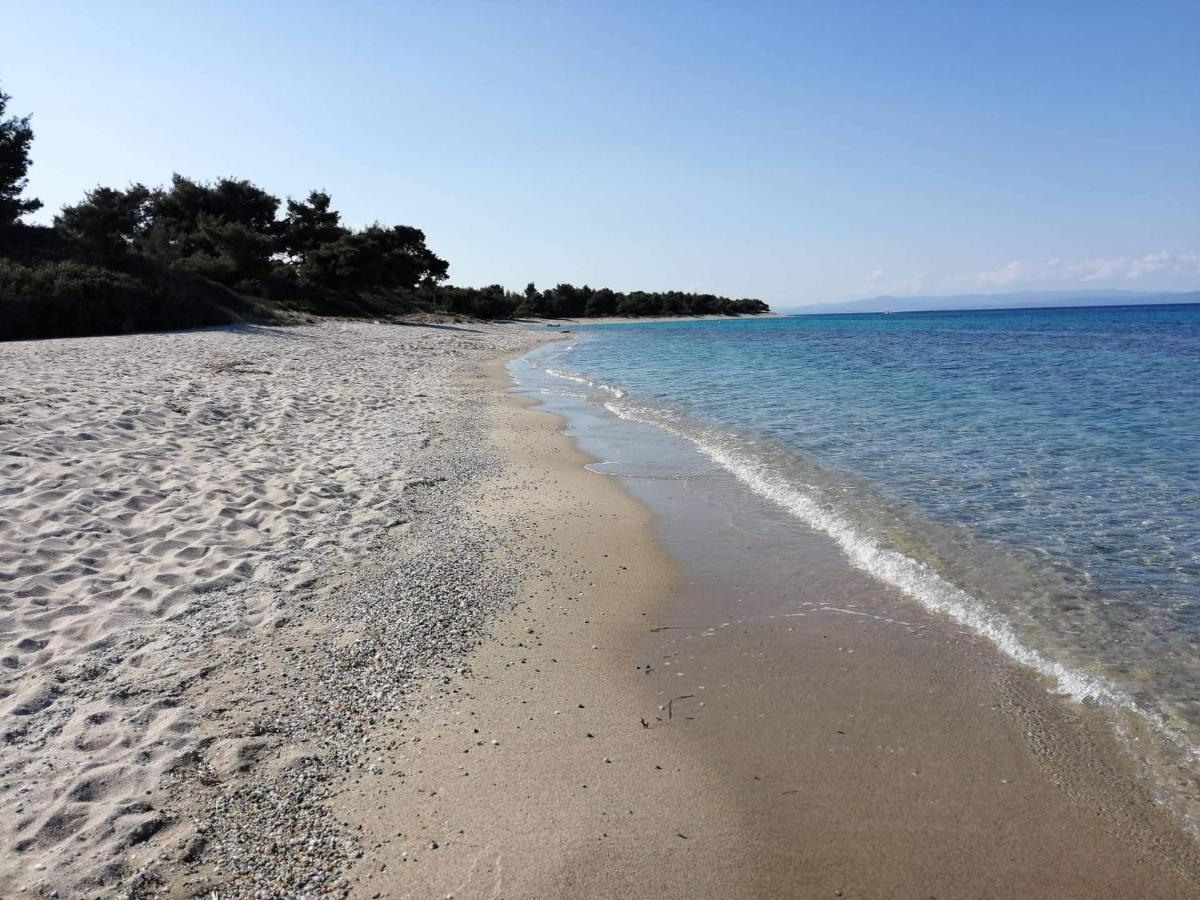 Seagull Villa Chalkidiki Пефкохори Экстерьер фото